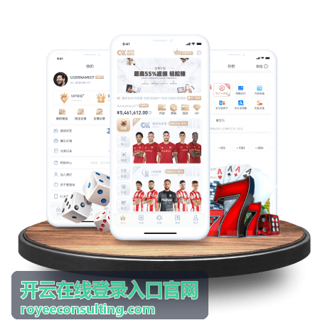 开云在线登录入口官网账号安全与验证的设置示意
