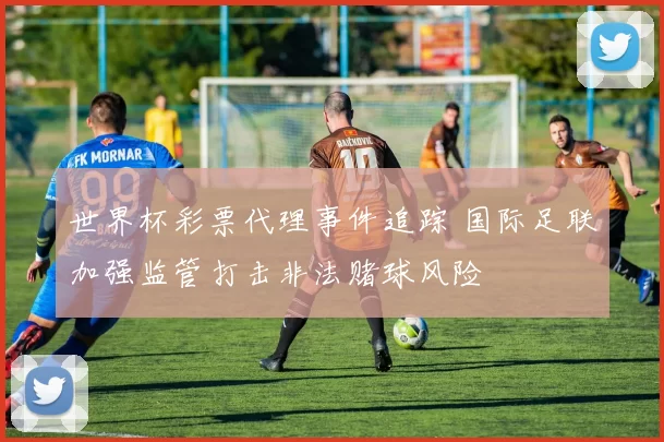 世界杯彩票代理事件追踪 国际足联加强监管打击非法赌球风险