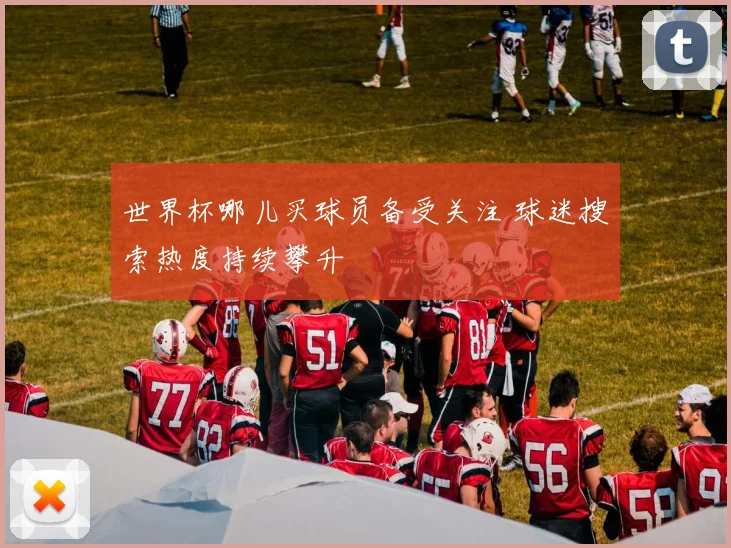 世界杯哪儿买球员备受关注 球迷搜索热度持续攀升