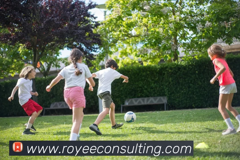 fh体育官方网站服务体系